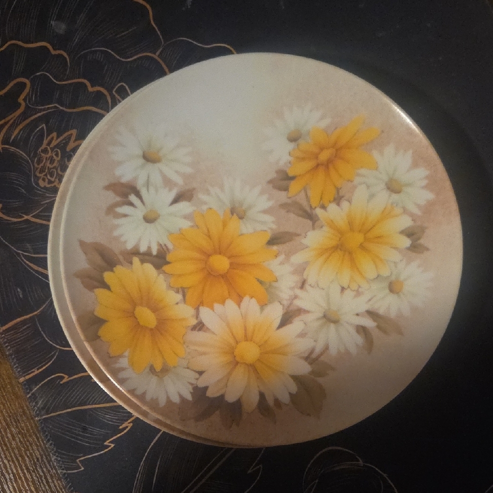 Set Of 3 Vintage Orginal Midcentury Plastic Dinner Daisy Plates 1960s